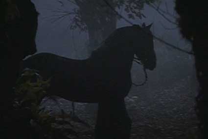 black night horse