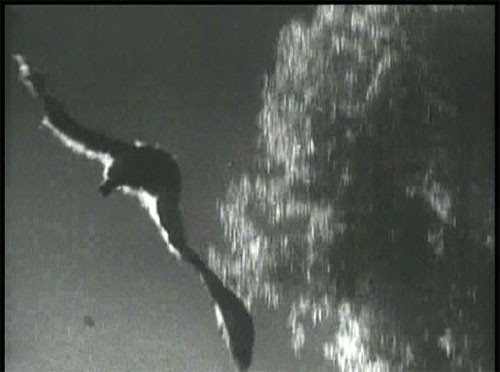 The Devil Bat: The devil bat winging his way through the night.